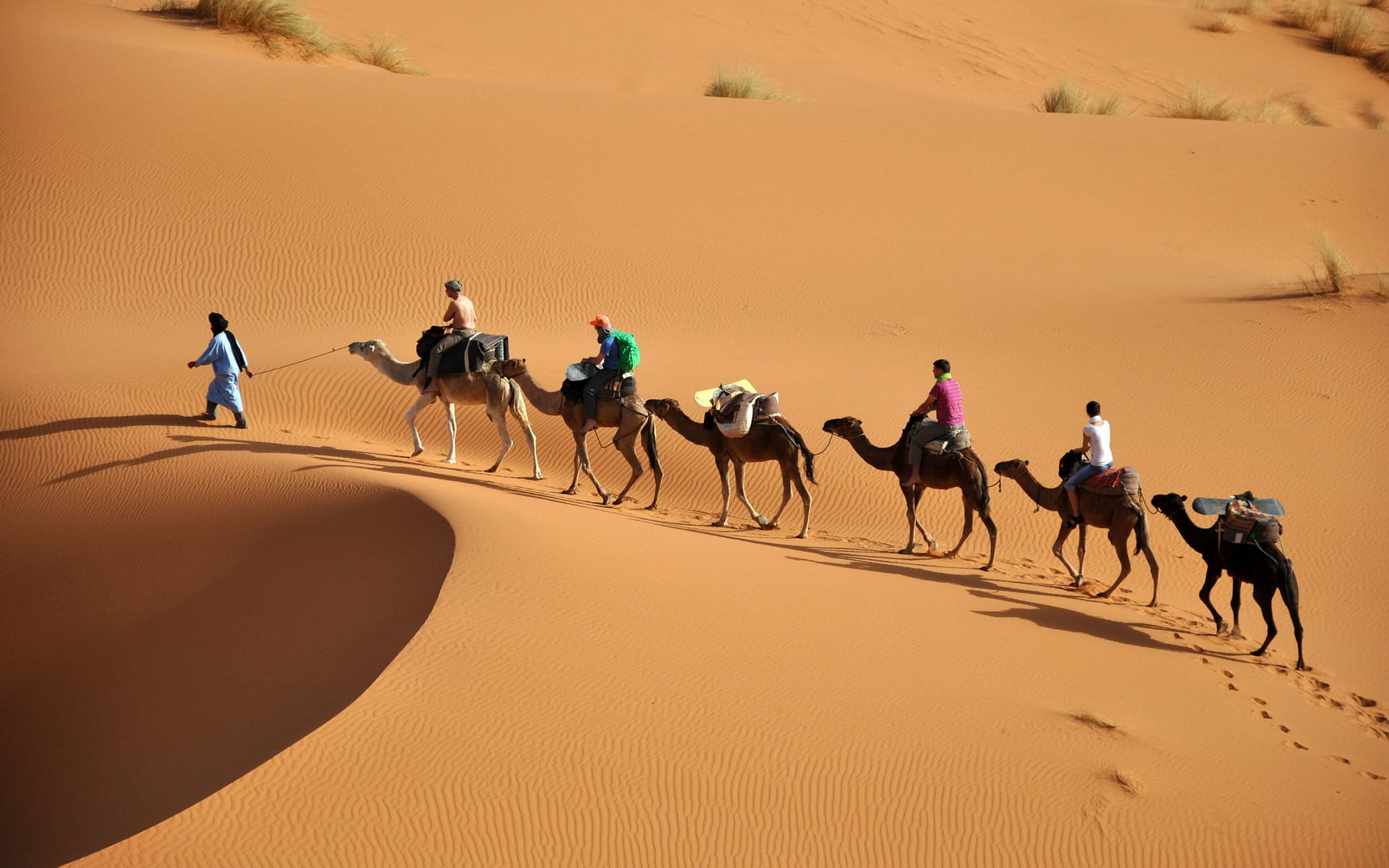 Camel Trekking